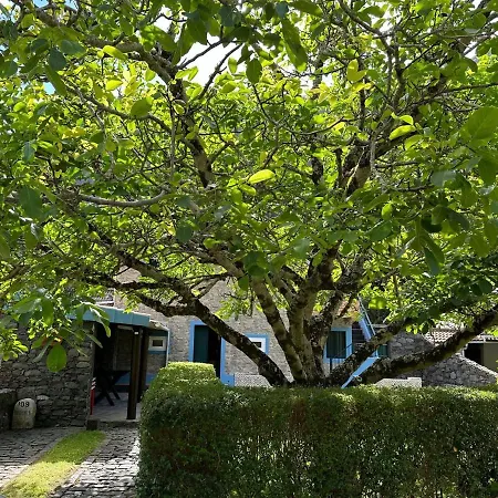 Casa Da Nogueira Сasa de vacaciones *