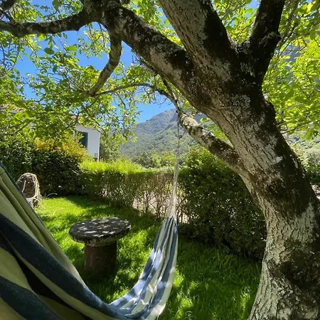 Holiday home Casa Da Nogueira Porto Moniz