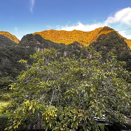 Casa Da Nogueira Holiday home